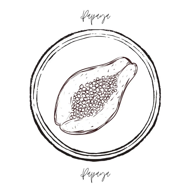 Papaya