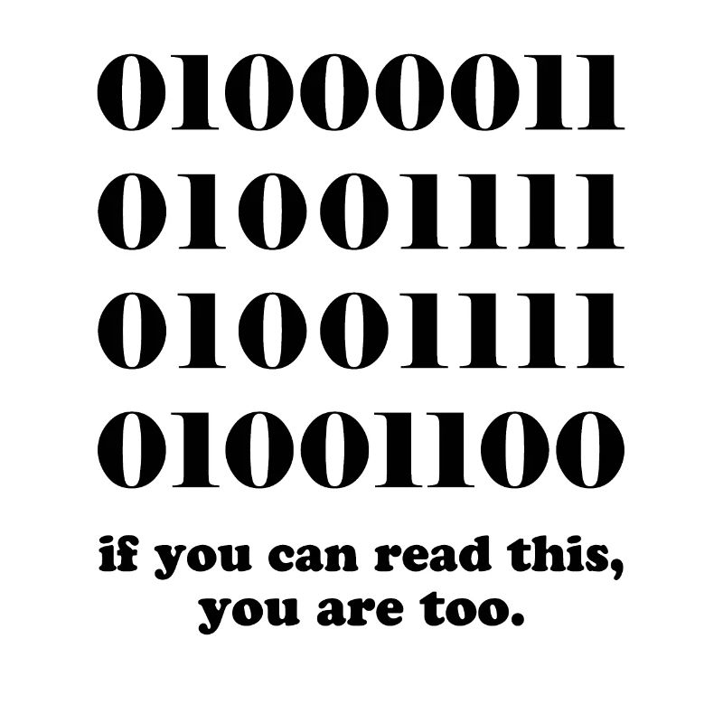 Computer binary code developers gift