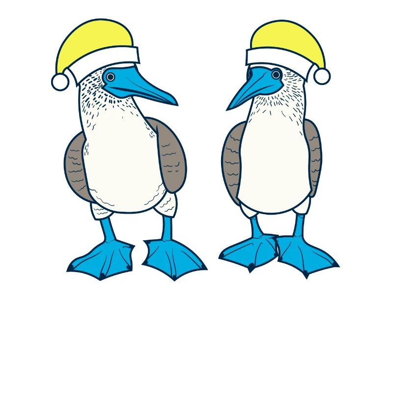Blaufusstölpel Weihnachten