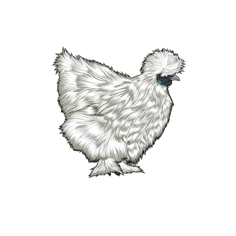 Seidenhuhn