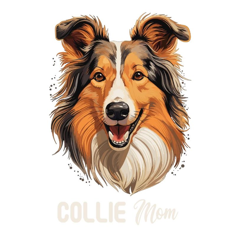 Hund Collie