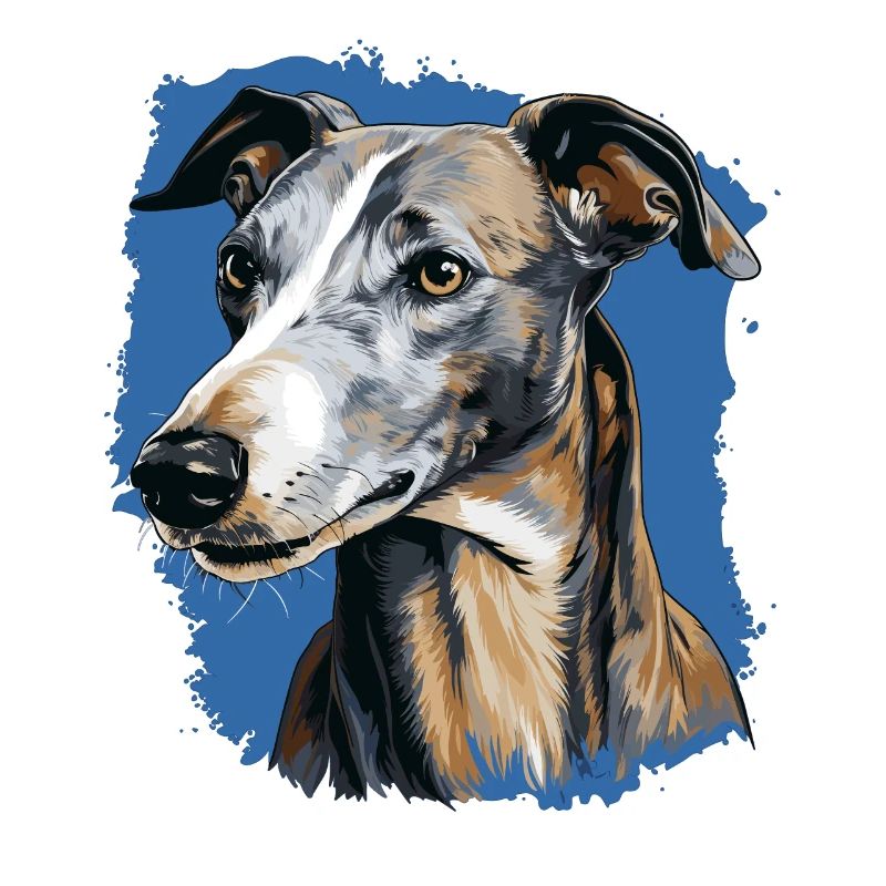 Hund Greyhound