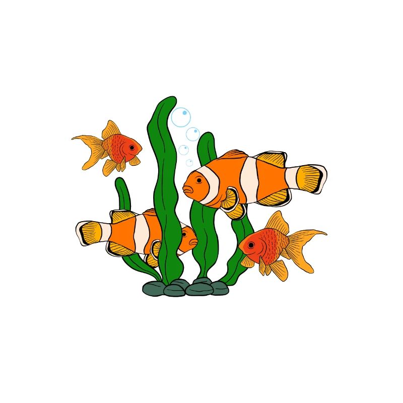 Aquaristik Fischzucht Aquarianer