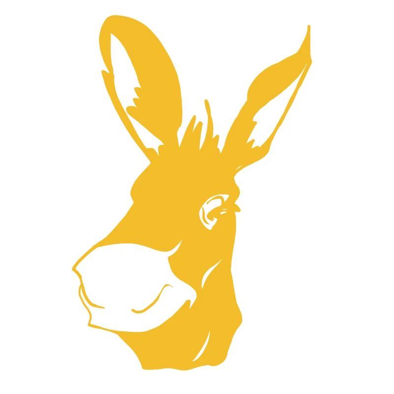 Donkey