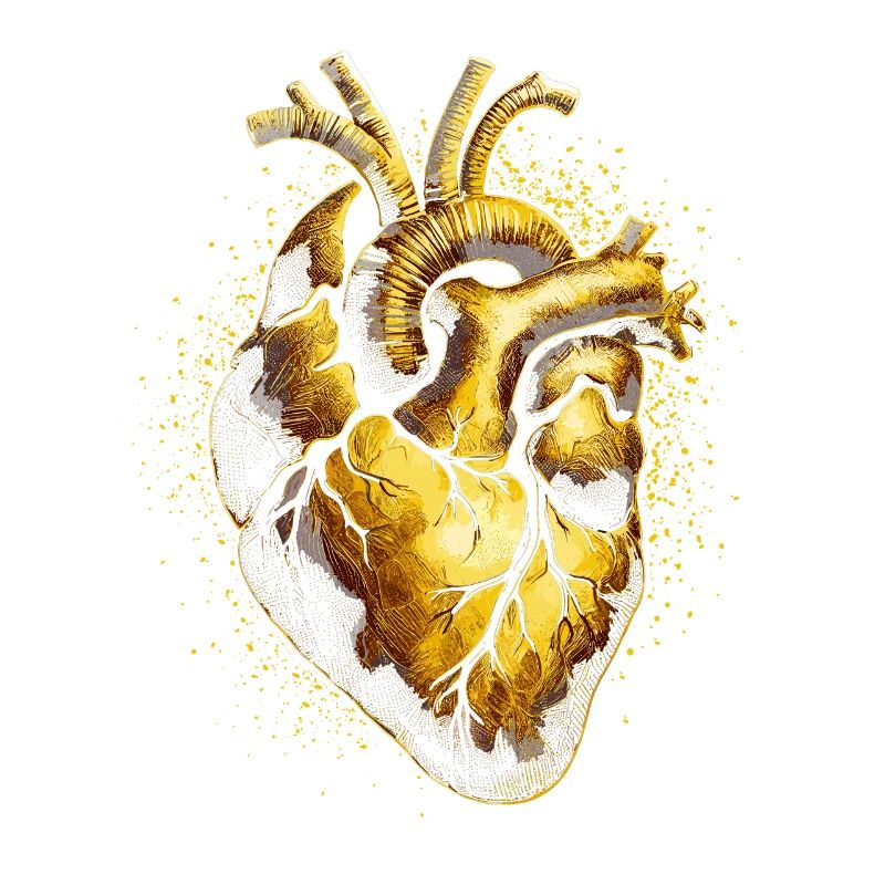 Anatomisches goldenes Herz