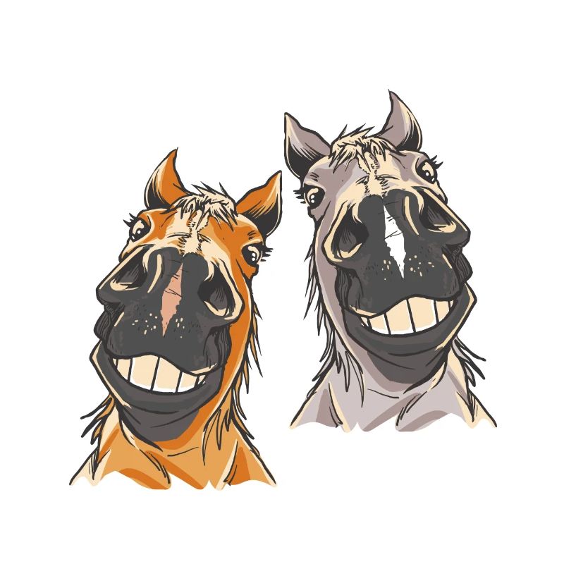 Pferdekopf Pferd Pferde
