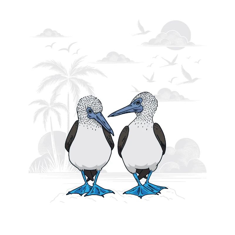Blaufußtölpel Galapagos Islands