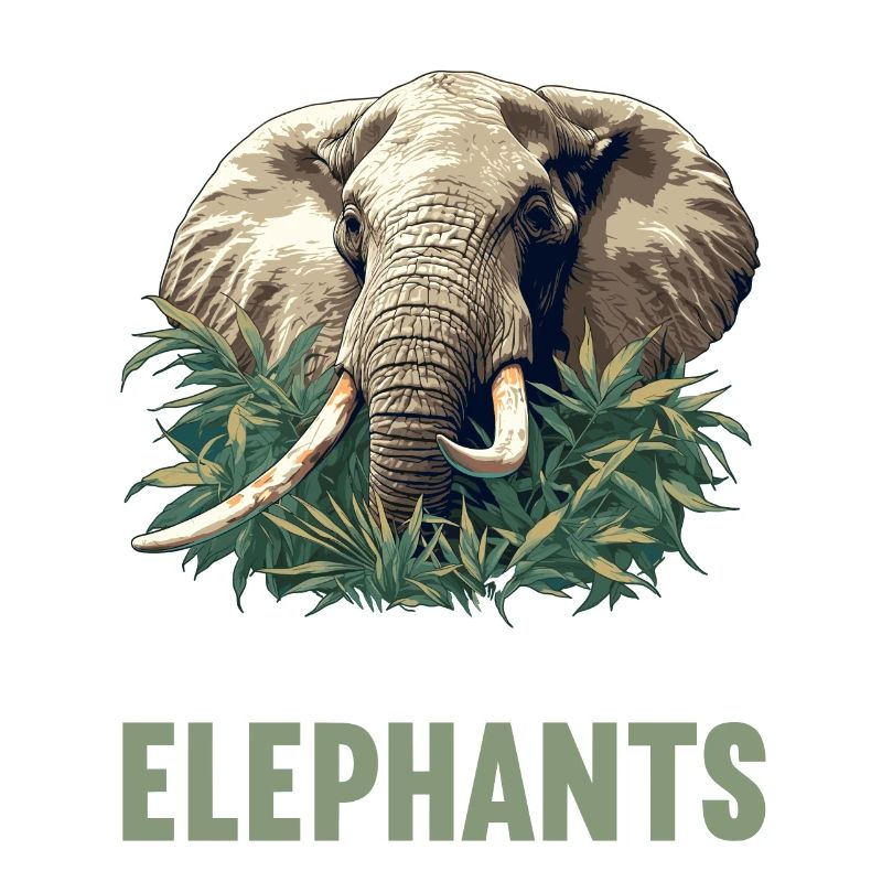 Elefanten Elefant
