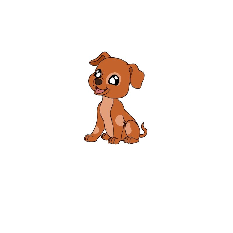 Hundefrisör und Hundepflege