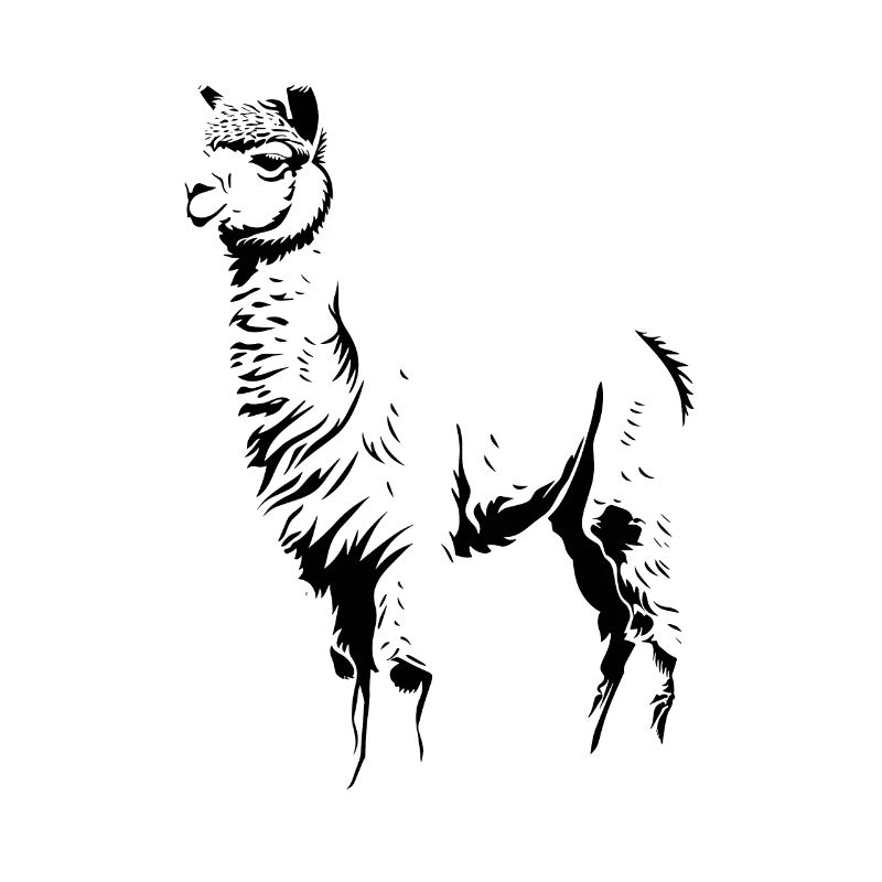 Alpaca Alpakas Alpaka