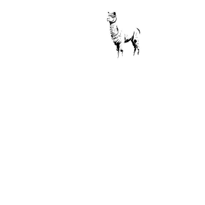 Alpaca Alpakas Alpaka