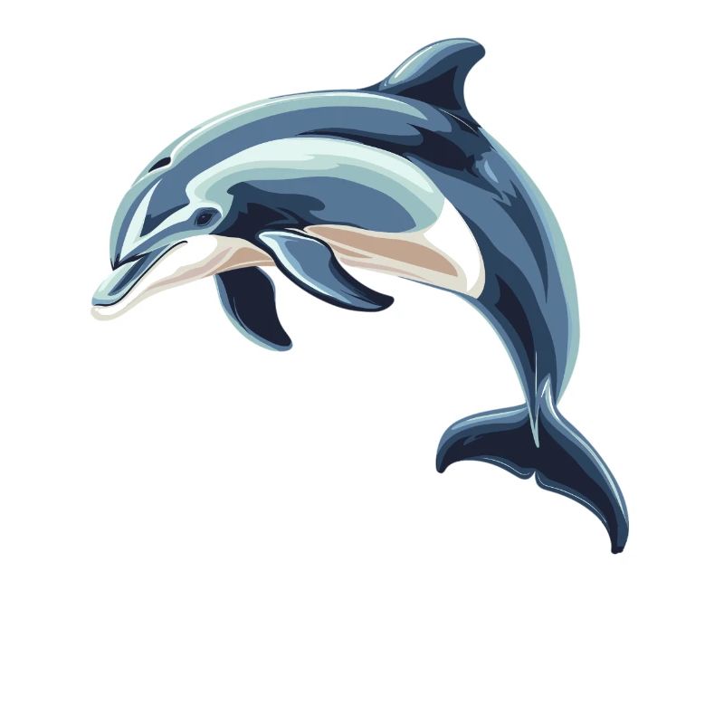 Dolphin Dolphins Dolphin