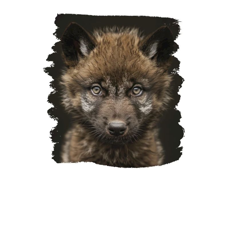 Wölfe Wolf