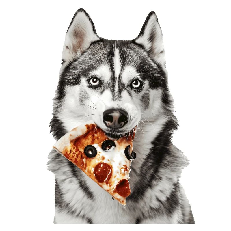 Sibirischer Husky