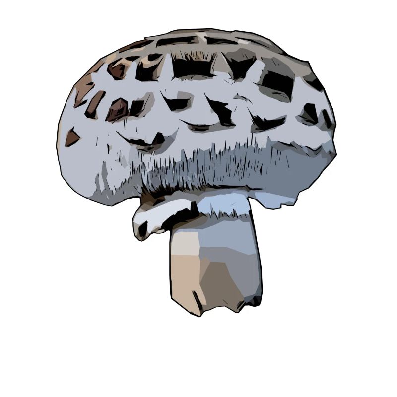Champion Pilz