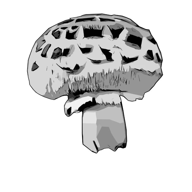 Gray Champion