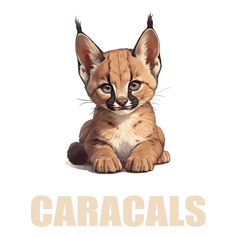 Caracal Karakale Karakal