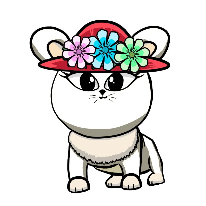 Katze Katzen Kätzchen