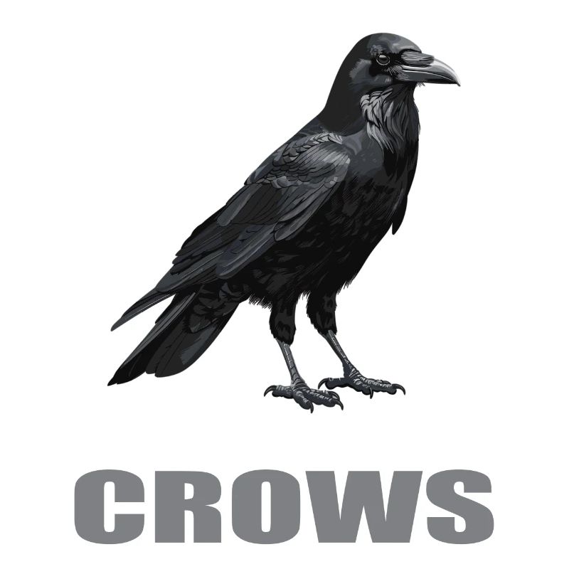 Crows Crow
