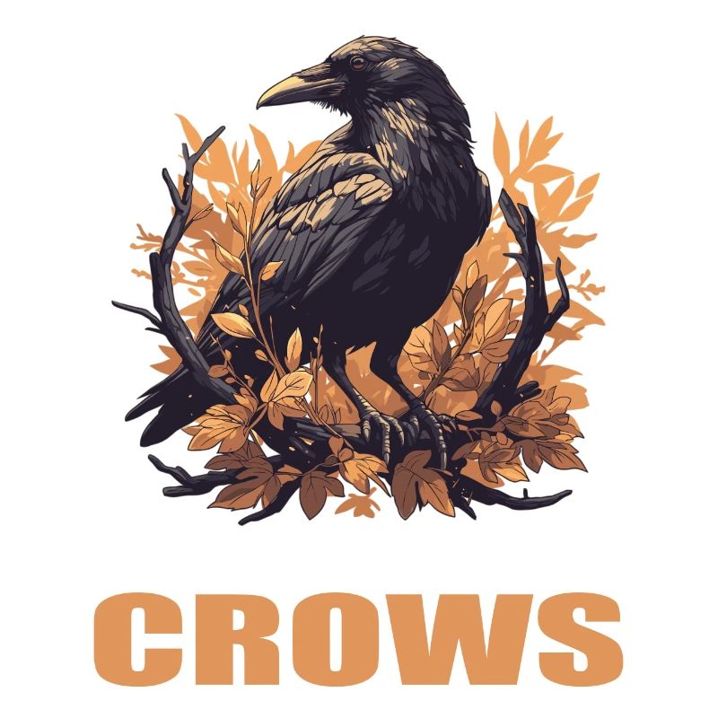 Krähen Krähe