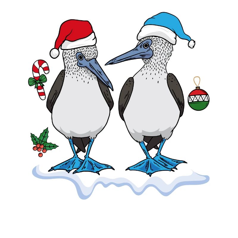 Blaufußtölpel Seevögel Weihnachten