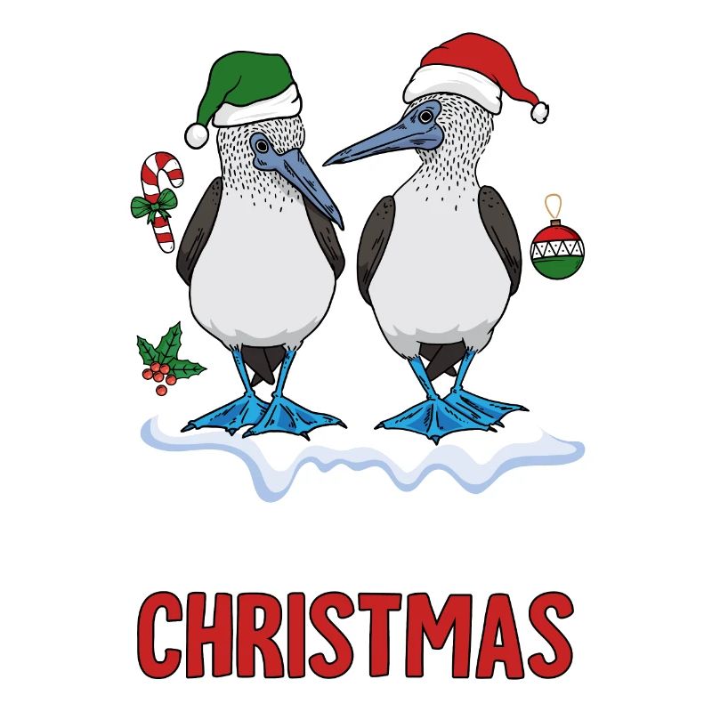 Galapagos Christmas