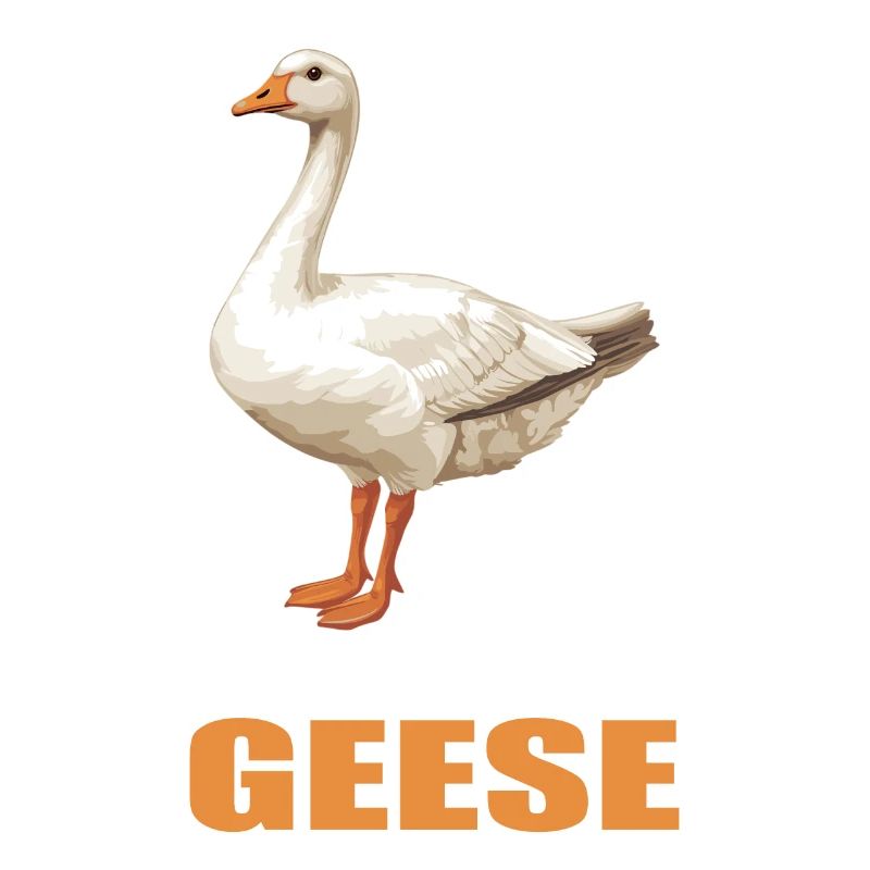 Gänse Gans