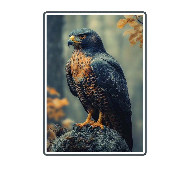 Falken Falke