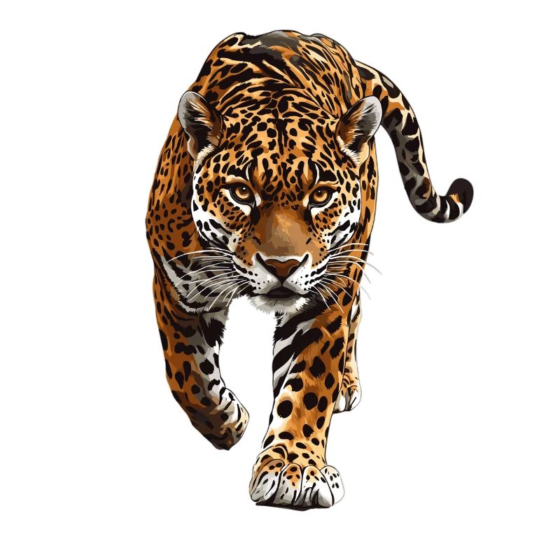 Jaguare Jaguar
