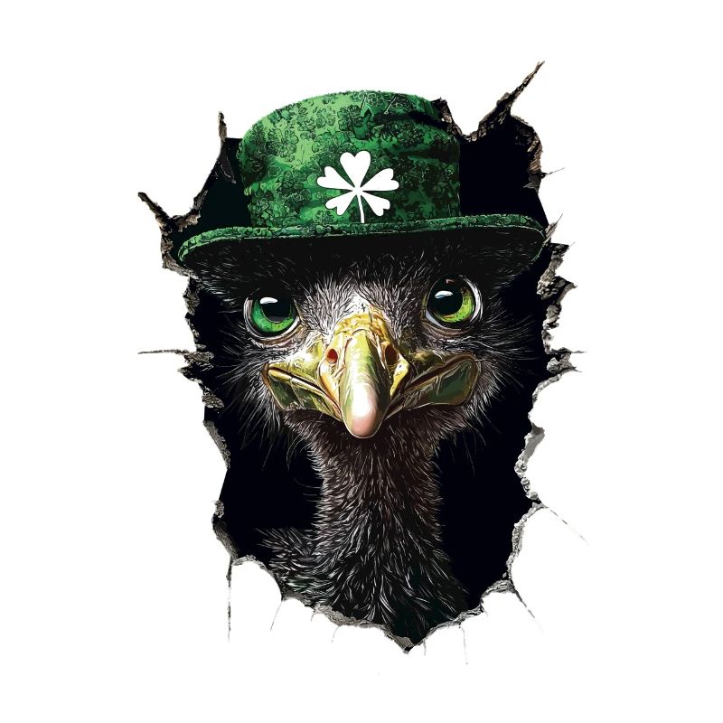 St. Patrick's Emu
