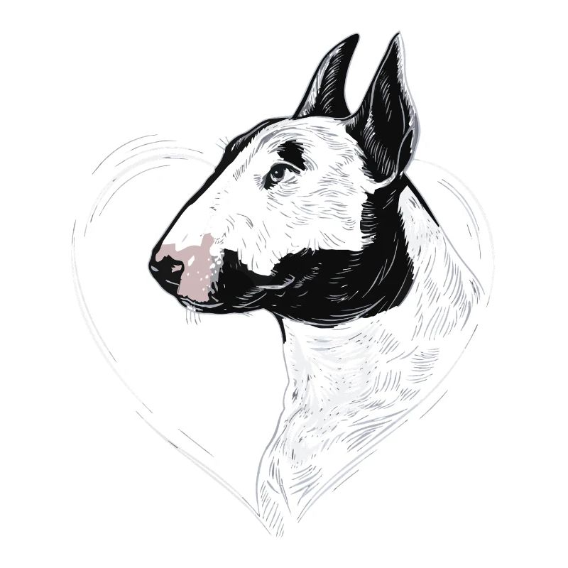 Bullterrier