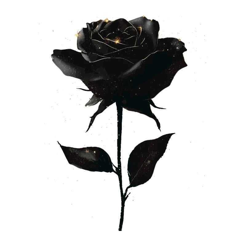 Schwarze Rose