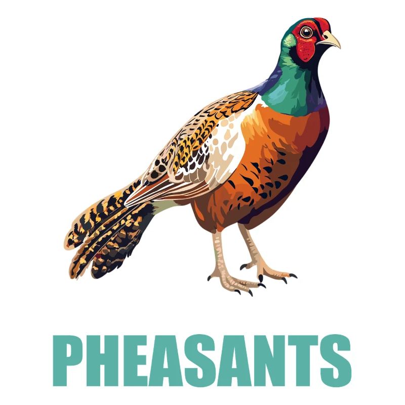 Pheasants Pheasant