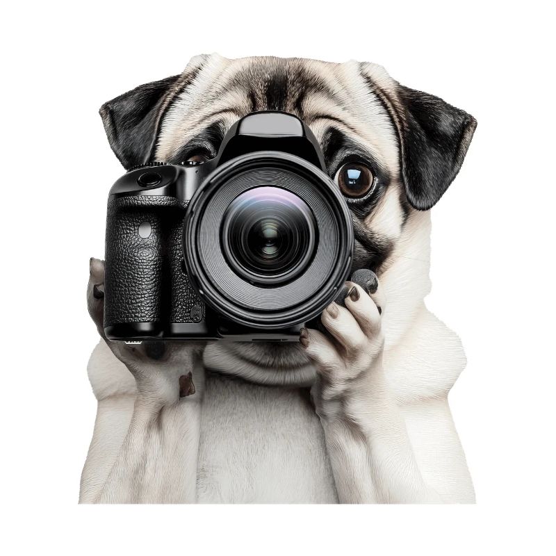Mops