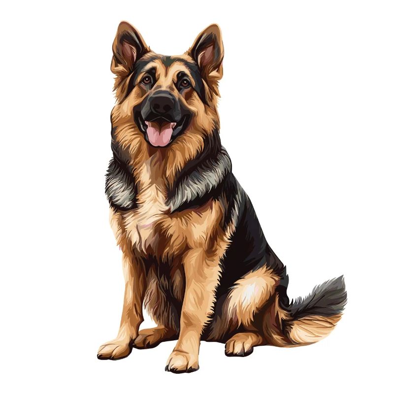 Deutscher Schäferhund