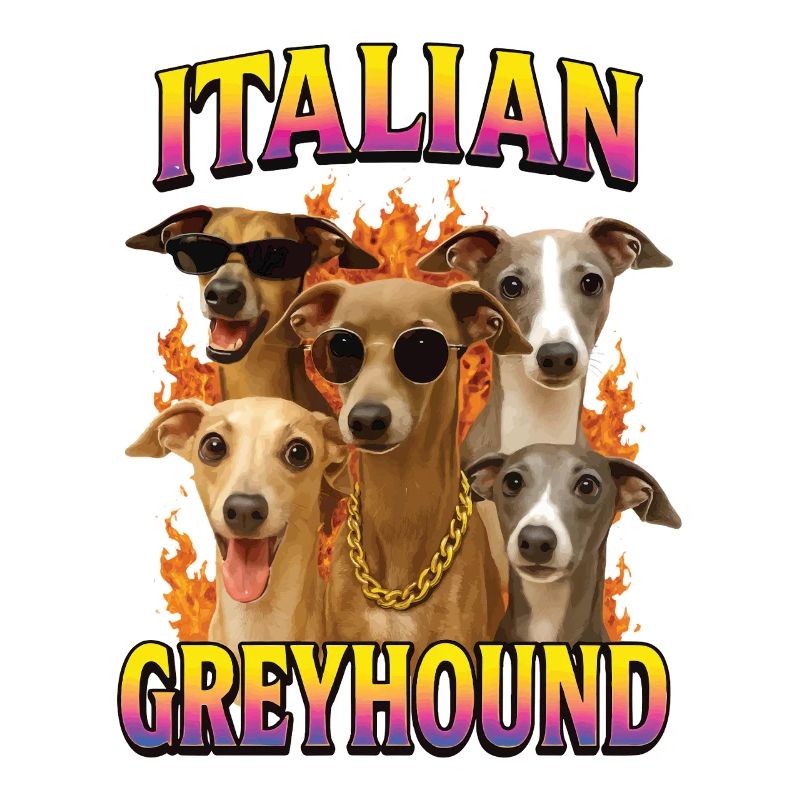 Italienisches Windspiel