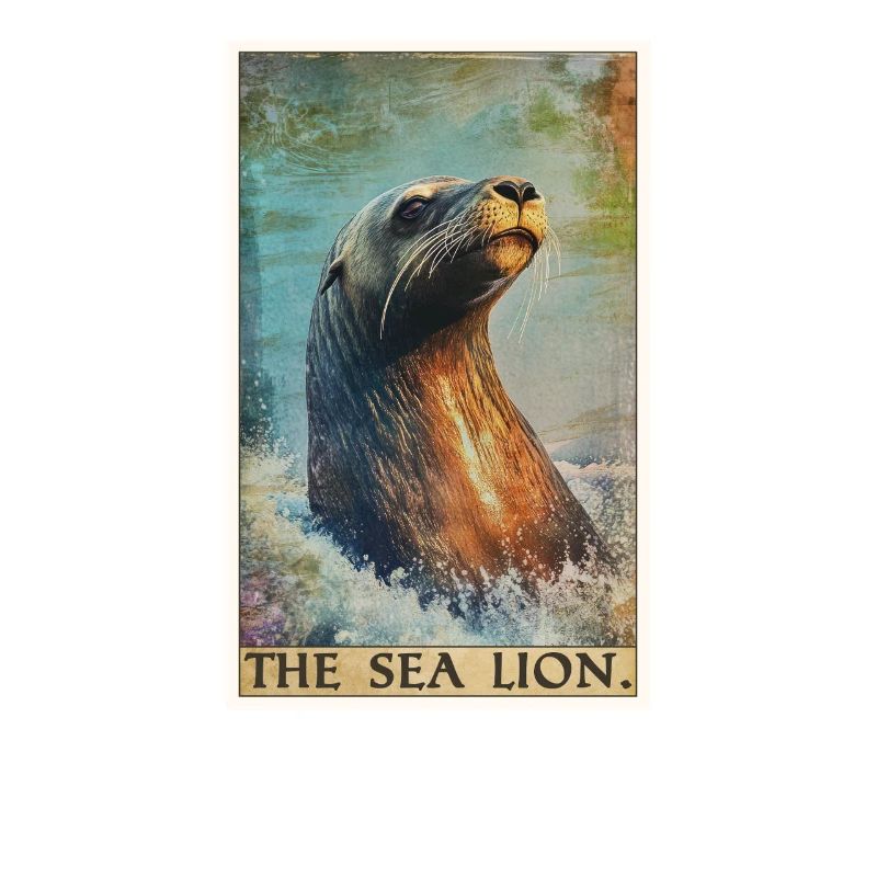 Seelöwen Seelöwe