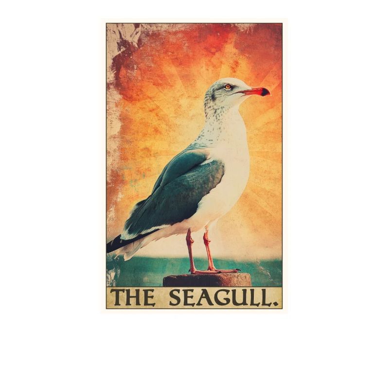 Seagulls Seagull