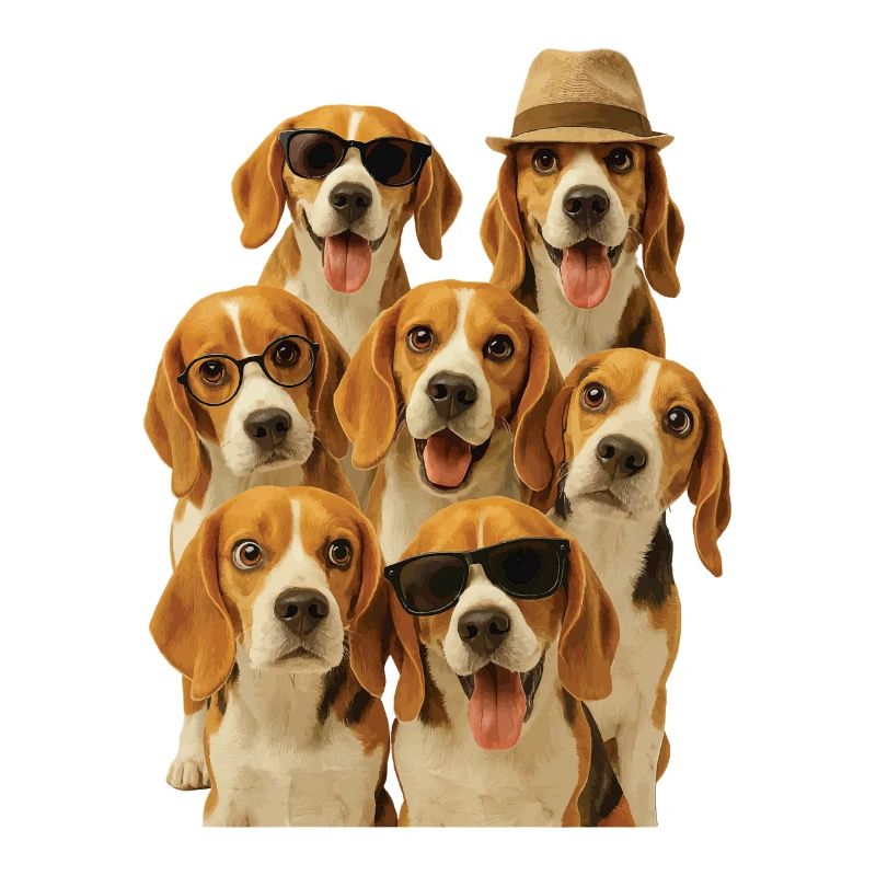 Beagle