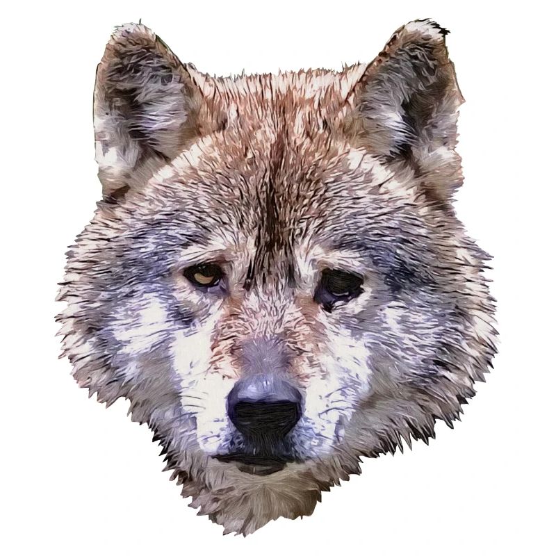 BERIX WOLF Kopf