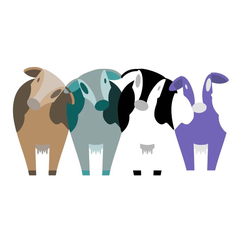 cows