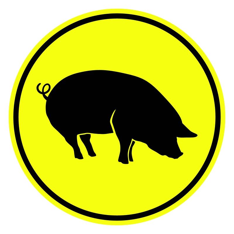 Schwein Tier