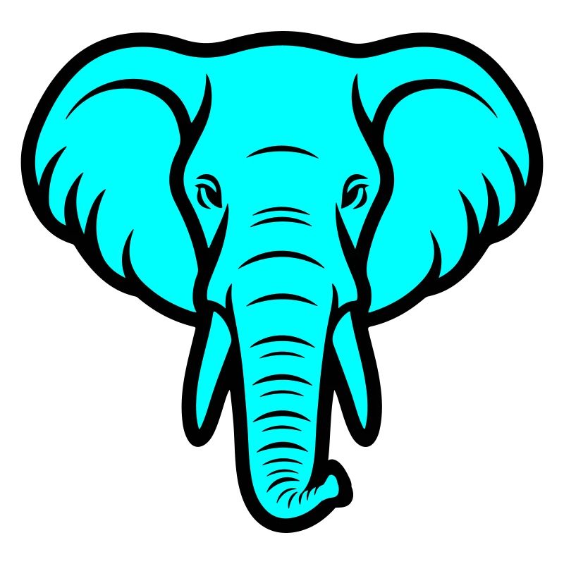 Elefant Kopf