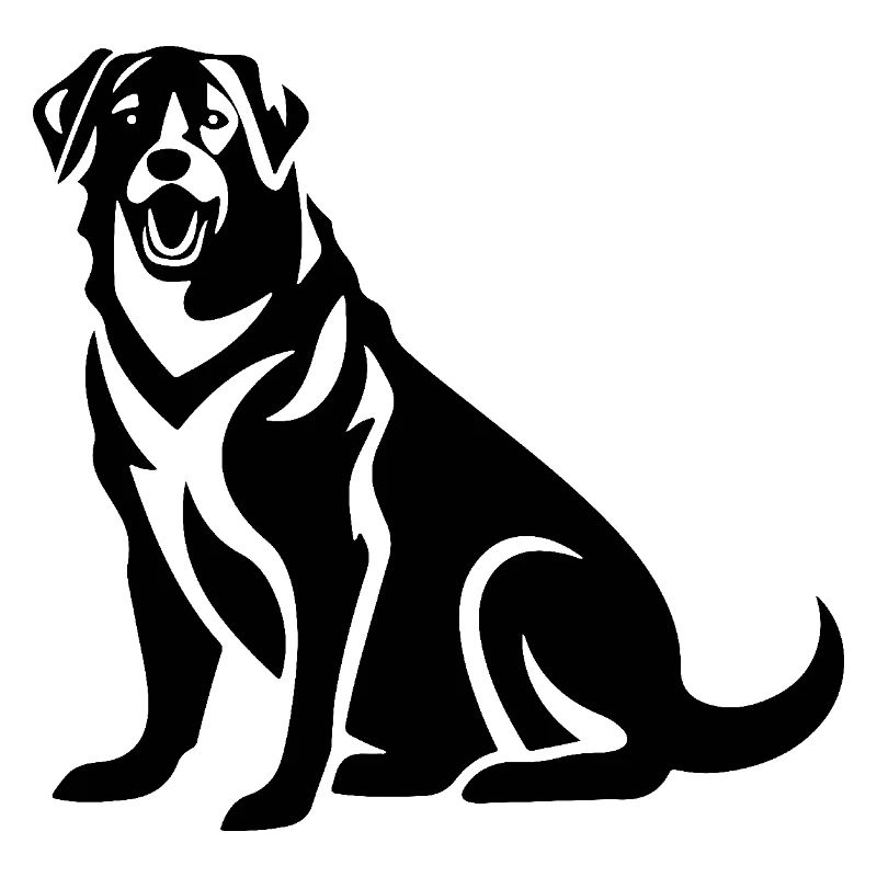 Kangal Hund