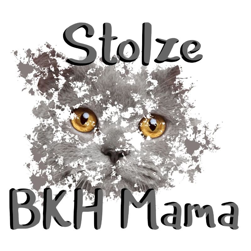 Stolze BKH Mama