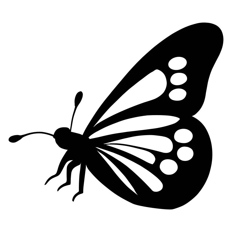 Schmetterling