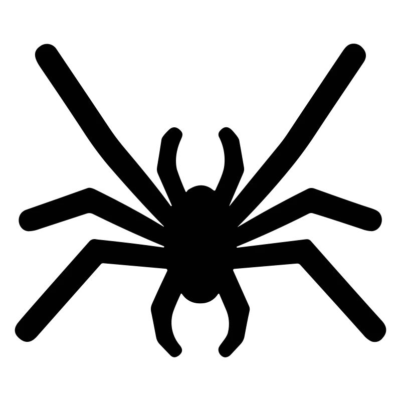 spider