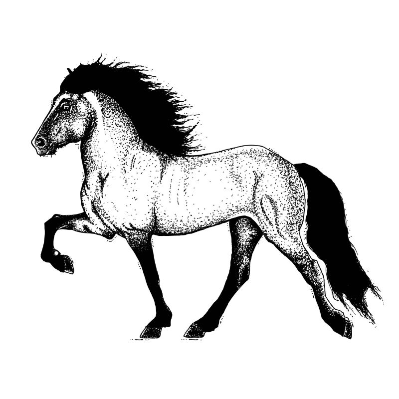 Tölter Illustration