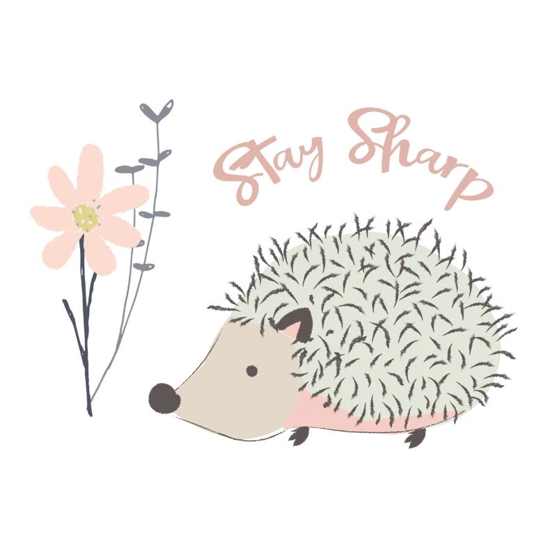 Igel | Igel