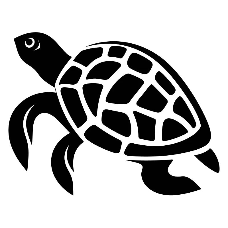 Tortoise
